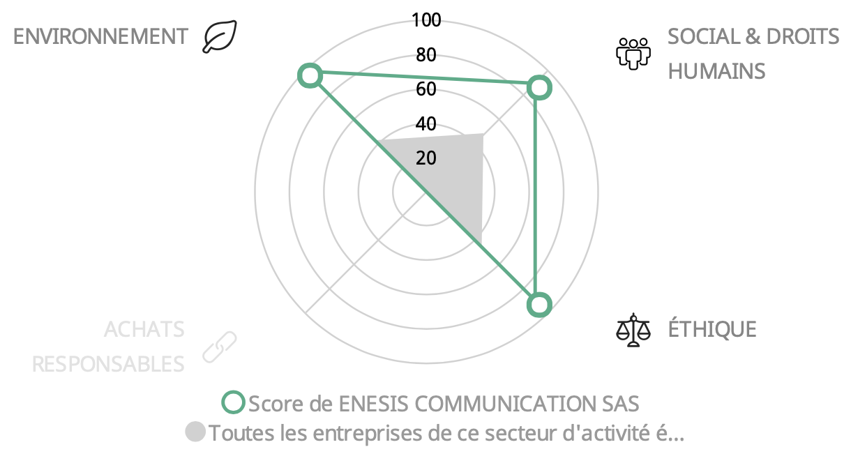 Scores EcoVadis par Thème
